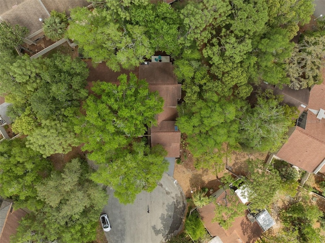 113 Weeping Elm Ln, Longwood, FL 32779 - photo 37