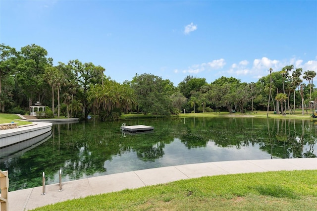 113 Weeping Elm Ln, Longwood, FL 32779 - photo 44