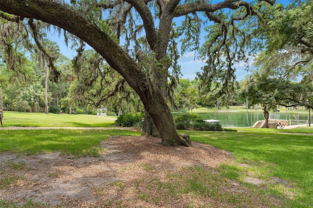 113 Weeping Elm Ln, Longwood, FL 32779 - photo 53