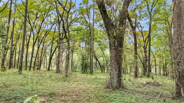 6700 NW 57th Ave, Ocala, FL 34482 - photo 4