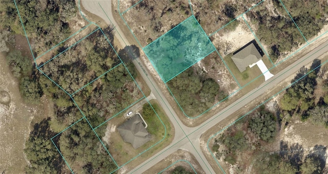 6535 SW 147th Street Rd, Ocala, FL 34473 - photo 1