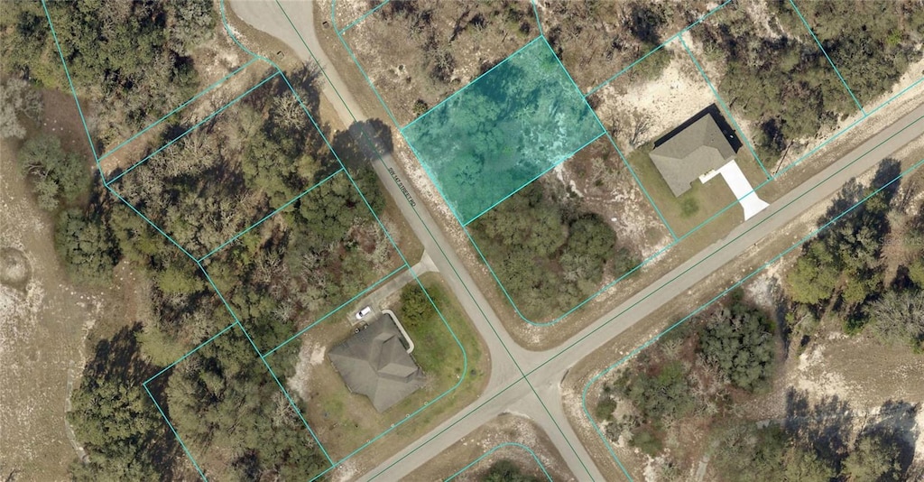 6535 SW 147th Street Rd, Ocala, FL 34473 - photo 2