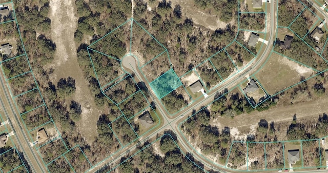 6535 SW 147th Street Rd, Ocala, FL 34473 - photo 3