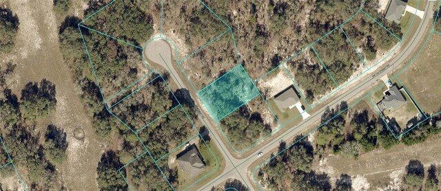 6535 SW 147th Street Rd, Ocala, FL 34473 - photo 4