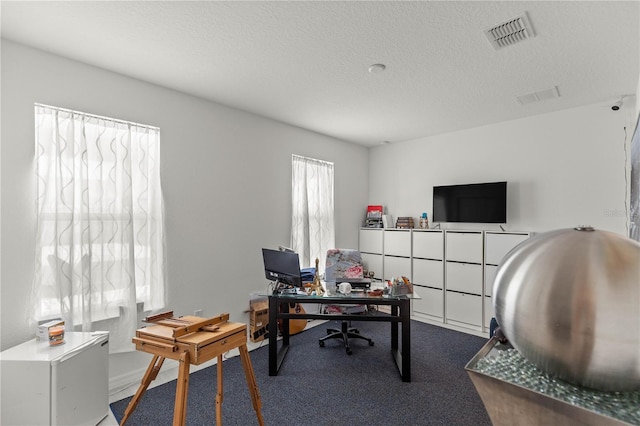 office space with carpet, visible vents, and a textured ceiling