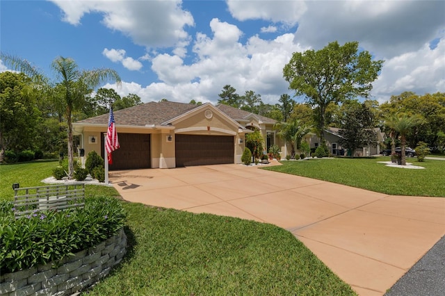 49 Cactus, Homosassa, FL 34446 - photo 5
