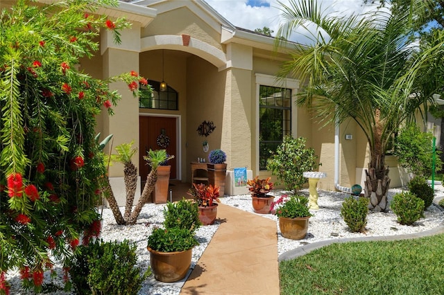 49 Cactus, Homosassa, FL 34446 - photo 11