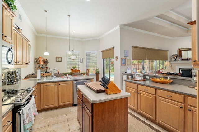 49 Cactus, Homosassa, FL 34446 - photo 35