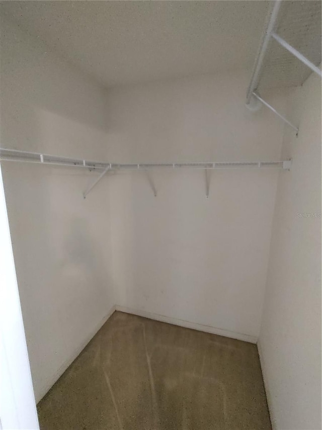 10315 SW 62nd Terrace Rd, Ocala, FL 34476 - spacious closet with carpet