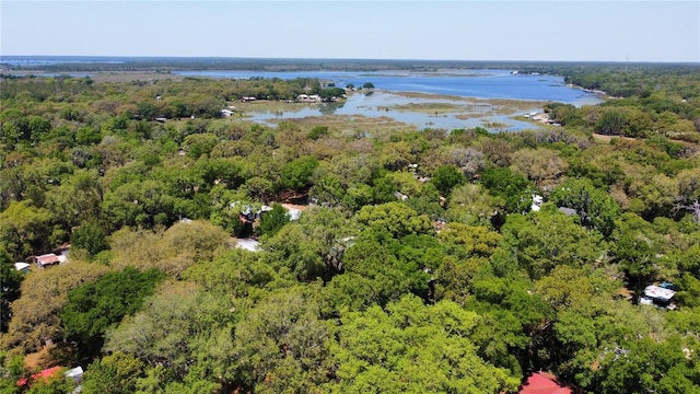 birds eye view of property featuring a forest view and a water view