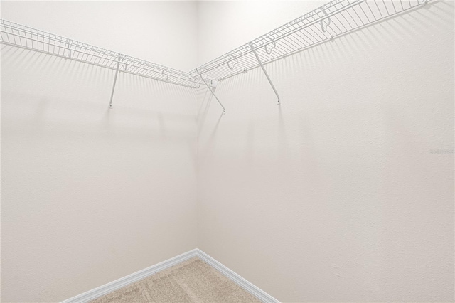 spacious closet with light colored carpet