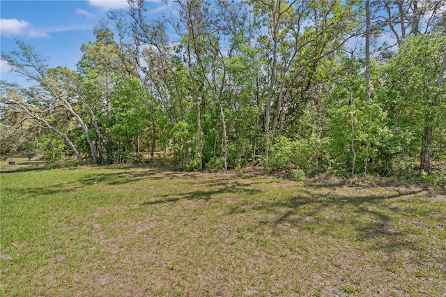 view of grassy yard with a forest view