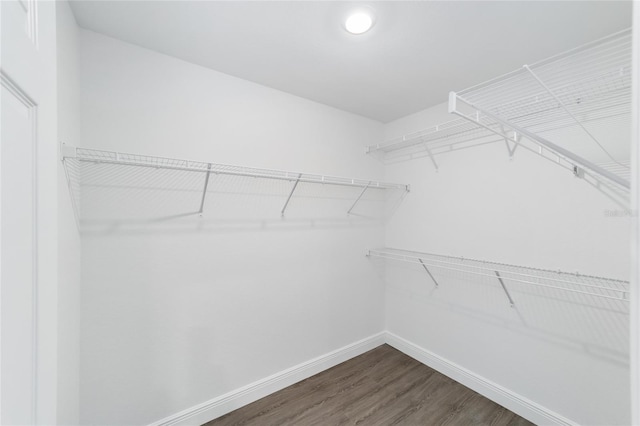 10374 SE 126th Ln, Belleview, FL 34420 - walk in closet featuring dark wood-type flooring