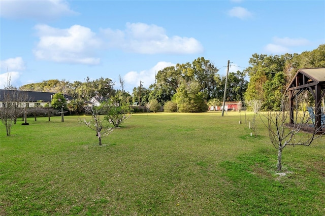 9900 NE 20 Terrace Rd, Anthony, FL 32617 - photo 8