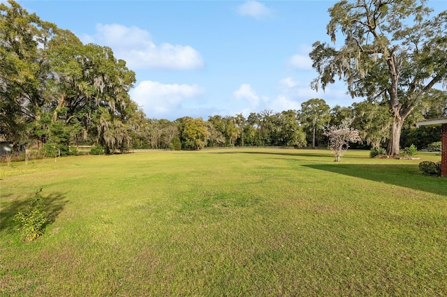 9900 NE 20 Terrace Rd, Anthony, FL 32617 - photo 10