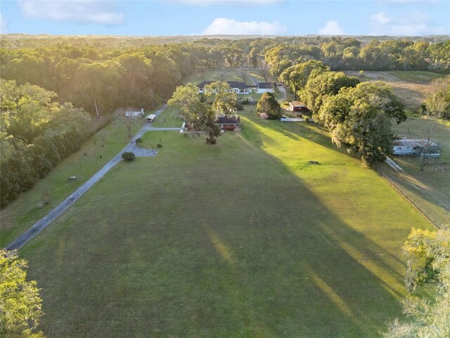 9900 NE 20 Terrace Rd, Anthony, FL 32617 - photo 56