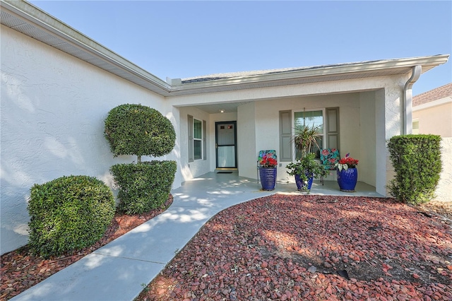 doorway to property featuring covered porch and stucco siding