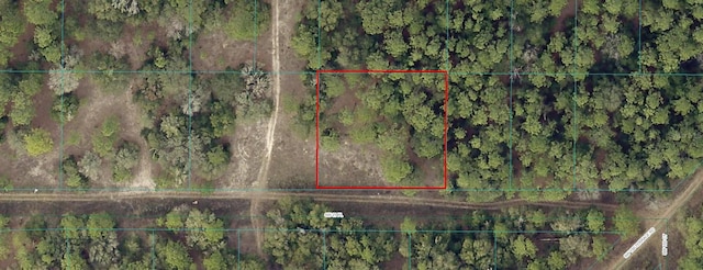 LOT25 SW 21st Pl, Ocala, FL 34481 - photo 3