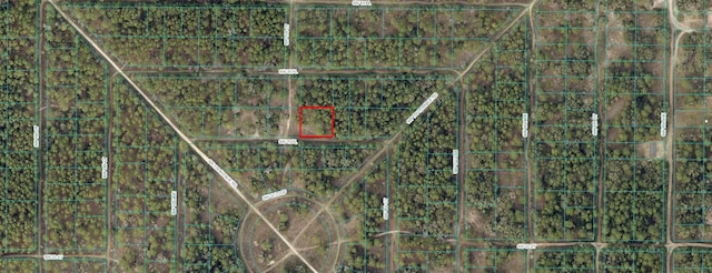 LOT25 SW 21st Pl, Ocala, FL 34481 - photo 5
