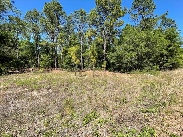 LOT25 SW 21st Pl, Ocala, FL 34481 - photo 1