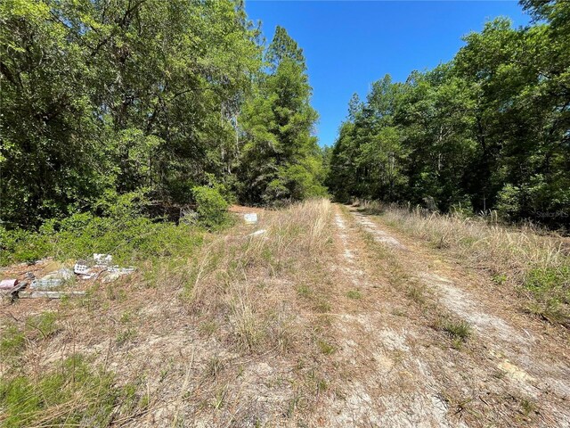 LOT25 SW 21st Pl, Ocala, FL 34481 - photo 8