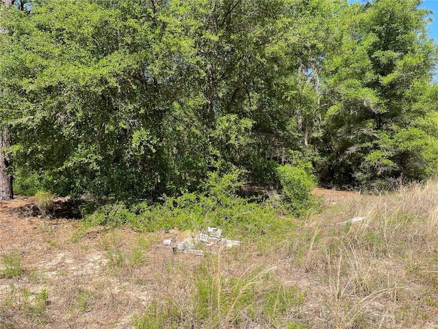 LOT25 SW 21st Pl, Ocala, FL 34481 - photo 9