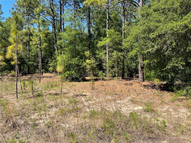 LOT25 SW 21st Pl, Ocala, FL 34481 - photo 10