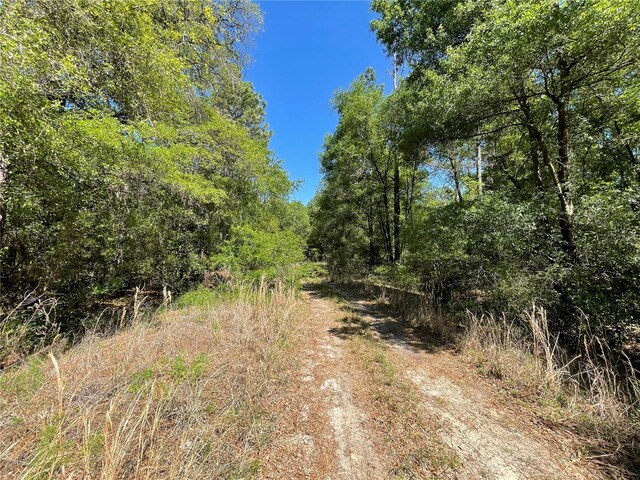 LOT25 SW 21st Pl, Ocala, FL 34481 - photo 12