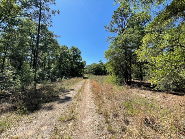 LOT25 SW 21st Pl, Ocala, FL 34481 - photo 13