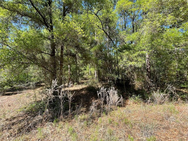 LOT25 SW 21st Pl, Ocala, FL 34481 - photo 14