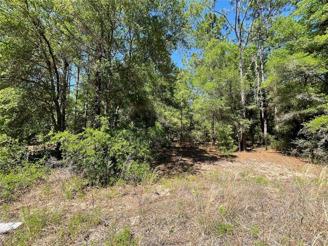 LOT25 SW 21st Pl, Ocala, FL 34481 - photo 15