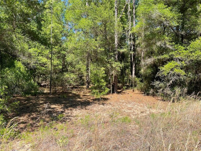 LOT25 SW 21st Pl, Ocala, FL 34481 - photo 16