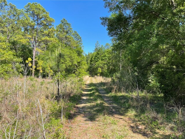 LOT25 SW 21st Pl, Ocala, FL 34481 - photo 19