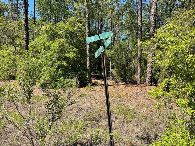 LOT25 SW 21st Pl, Ocala, FL 34481 - photo 20
