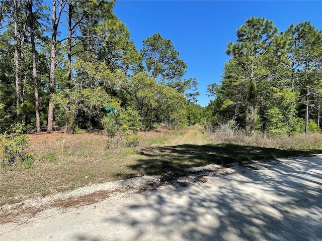 LOT25 SW 21st Pl, Ocala, FL 34481 - photo 21