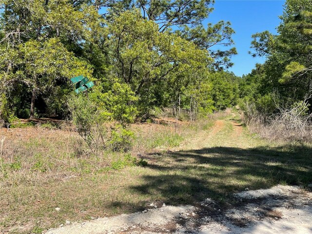 LOT25 SW 21st Pl, Ocala, FL 34481 - photo 22