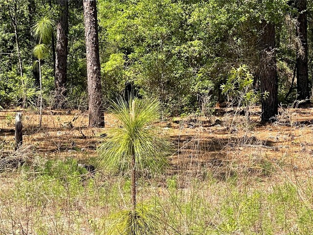LOT25 SW 21st Pl, Ocala, FL 34481 - photo 2