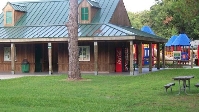 38 Laurel Ct, Ocala, FL 34480 - rear view of house featuring a standing seam roof, metal roof, and a lawn
