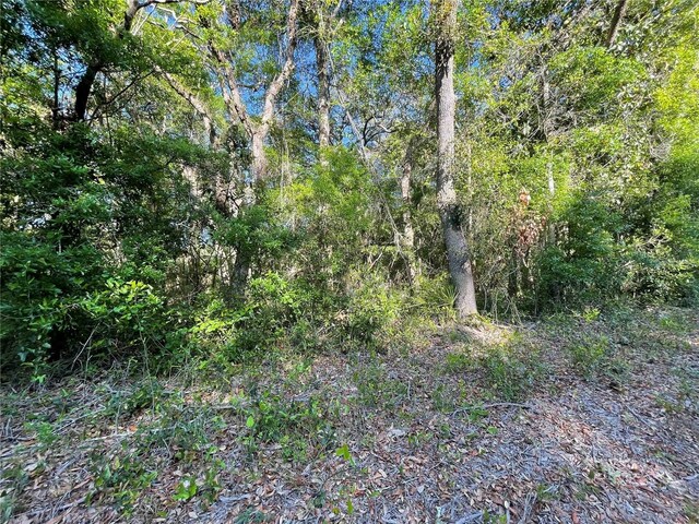 LOT3 NW 82nd Ct, Chiefland, FL 32626 - photo 1