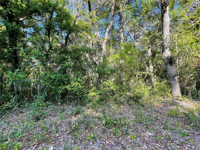 LOT3 NW 82nd Ct, Chiefland, FL 32626 - photo 2
