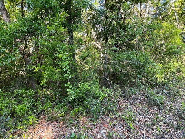 LOT3 NW 82nd Ct, Chiefland, FL 32626 - photo 3