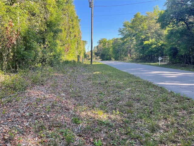LOT3 NW 82nd Ct, Chiefland, FL 32626 - photo 4
