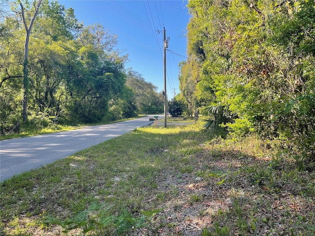 LOT3 NW 82nd Ct, Chiefland, FL 32626 - photo 5
