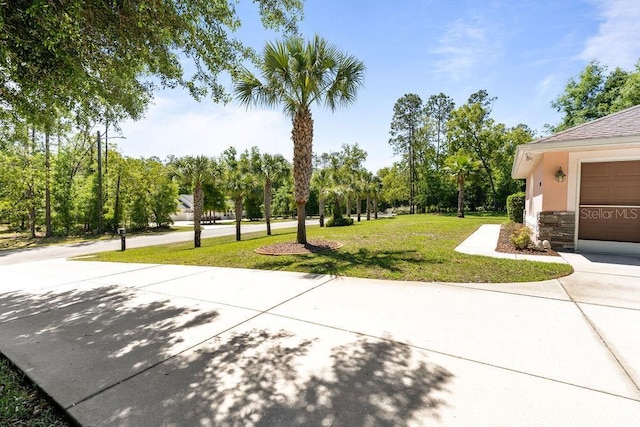 view of community with driveway and a yard
