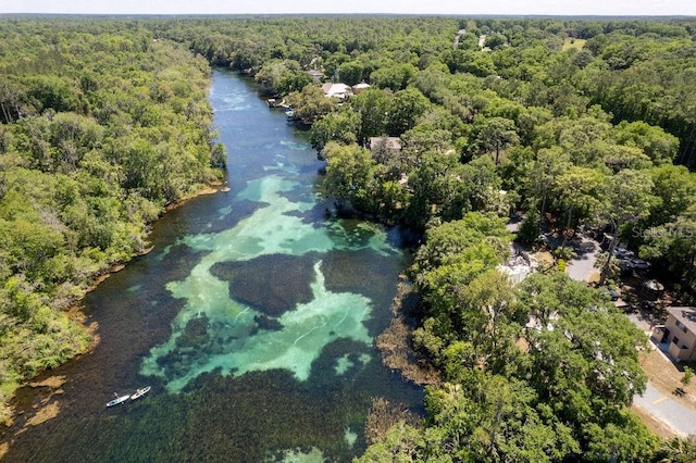 drone / aerial view with a water view and a forest view