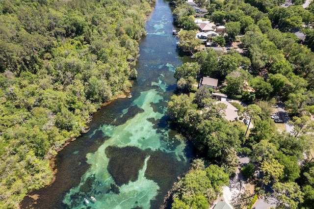 aerial view with a forest view and a water view