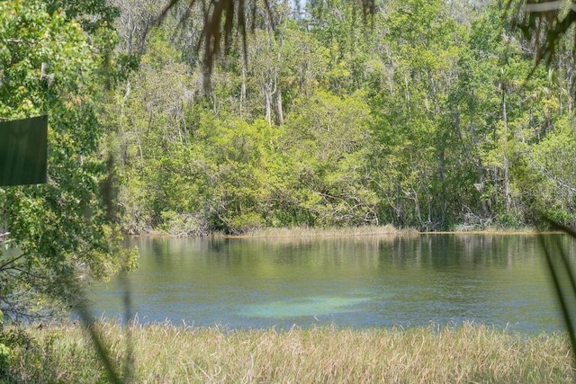 water view featuring a view of trees