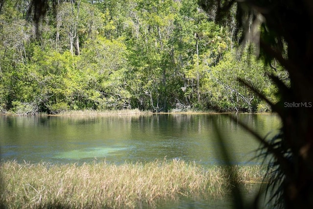 property view of water with a forest view