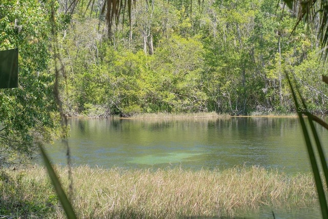 view of water feature featuring a forest view