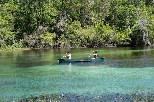 property view of water featuring a wooded view and a boat dock